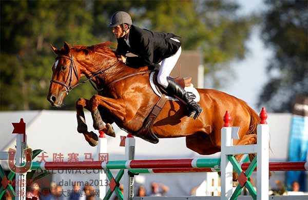 新西兰青年骑手卢克•第(Luke Dee) 大陆赛马网.jpg