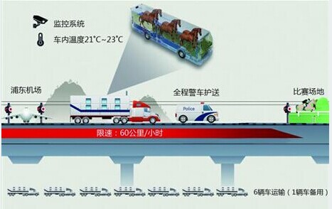 揭秘2014年上海浪琴环球马术冠军赛的马匹运输细节