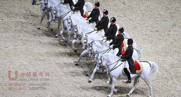 135英镑看一次的盛装舞步表演什么样？