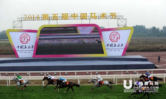 百马竞逐成都温江 2014第五届中国马术节开幕