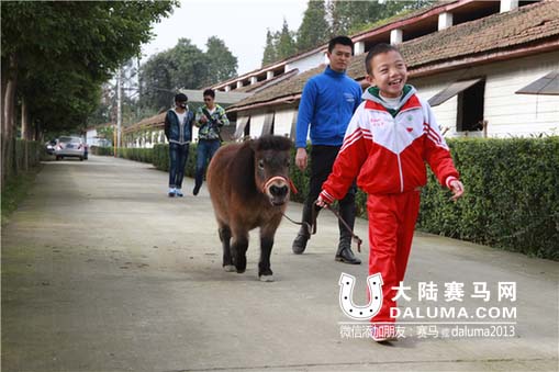 西南首次“马术治疗”顺利结业 成都马协：寻求更多合作