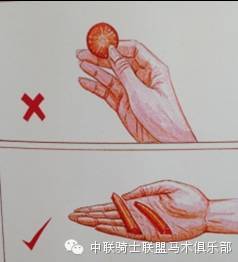 马儿也爱吃零食 中联骑士联盟马术俱乐部.jpeg