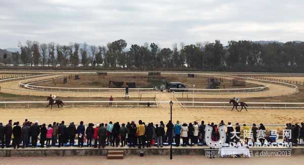 云南中信嘉丽泽杯马术邀请赛成功举办 大陆赛马网3.jpg