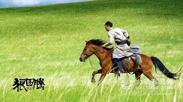 拍《狼图腾》苦练蒙式骑马 冯绍峰潇洒驰骋草原