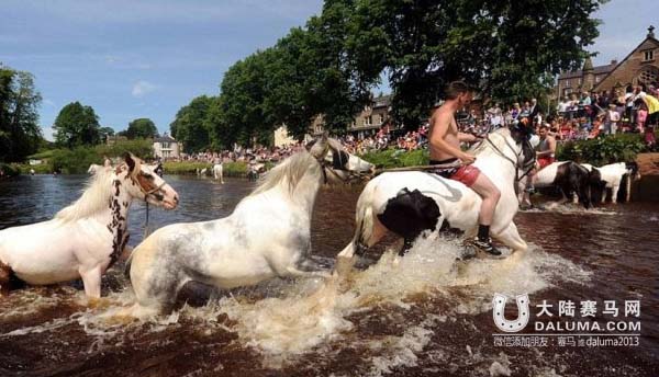 吉普赛马主300年的传统:卖马先去河里洗白白 大陆赛马网4.jpg
