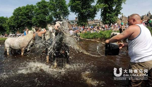 吉普赛马主300年的传统:卖马先去河里洗白白 大陆赛马网3.jpg