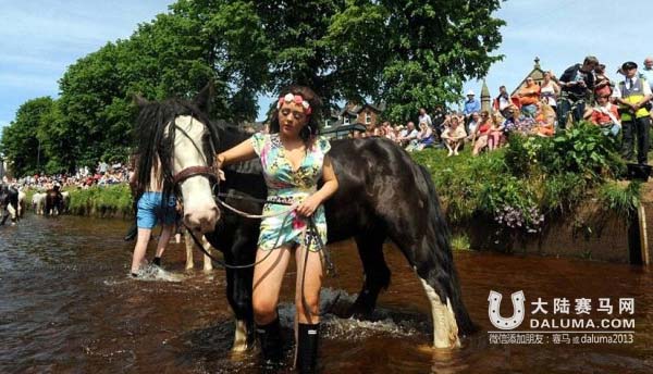 吉普赛马主300年的传统:卖马先去河里洗白白 大陆赛马网7.jpg