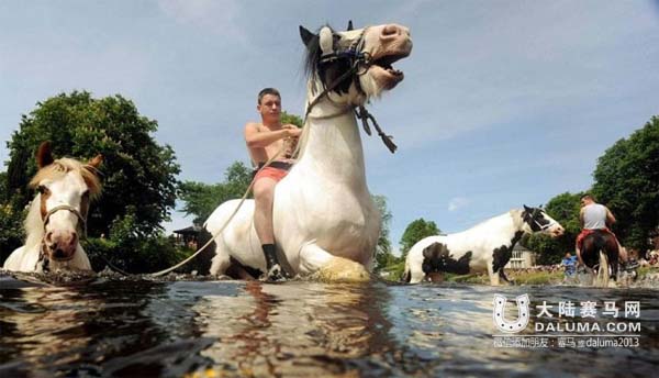 吉普赛马主300年的传统:卖马先去河里洗白白 大陆赛马网9.jpg