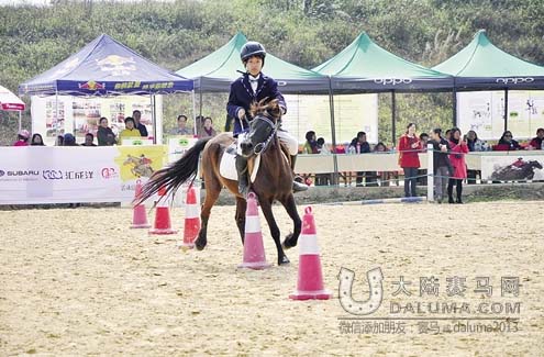 南宁首次举办青少年马术专业比赛