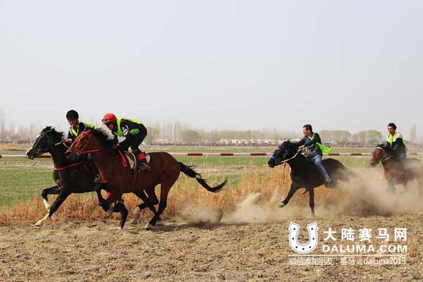 新疆第五届博斯腾杯赛马会收官 巴力肯蝉联年度马王 大陆赛马网2.jpg