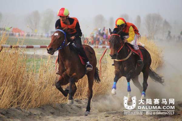 新疆第五届博斯腾杯赛马会收官 巴力肯蝉联年度马王 大陆赛马网.jpg