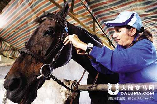 法国教练广州执教10年：马术是贵族运动，但不是有钱人运动