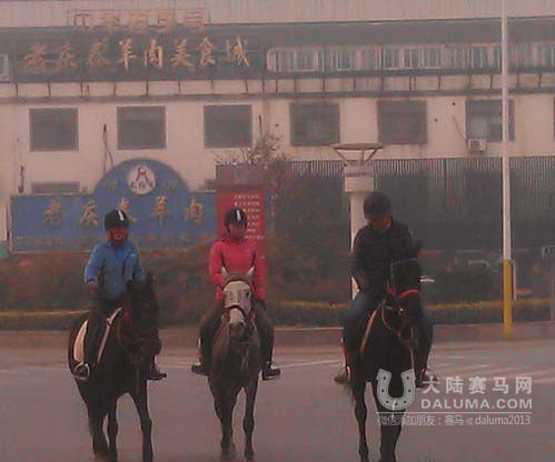 苏州木渎古镇频现马路骑马族 交警称会正确引导