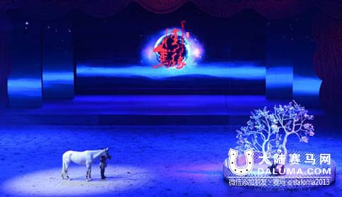 领略马文化：升级版《千古马颂》6月锡林浩特与观众见面