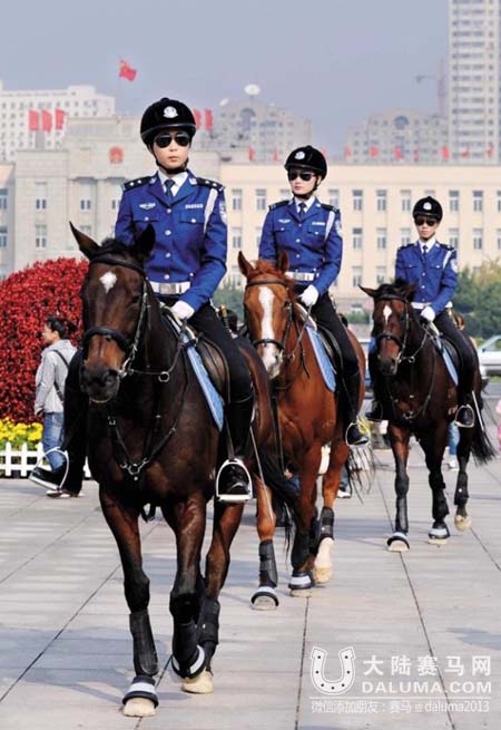大连女骑警训练基地成景点 门票收入或达3千万 大陆赛马网.jpg