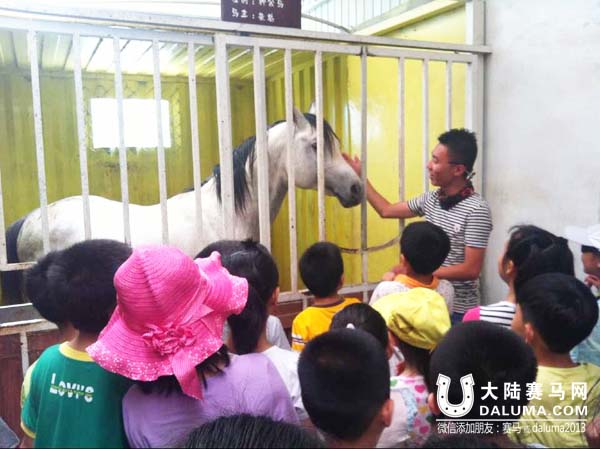 济南燕山小学组织学生学骑马庆六一 家长孩子齐欢迎