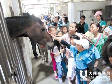 花儿红草儿绿骑着马儿过六一 “我是小骑士”活动落幕