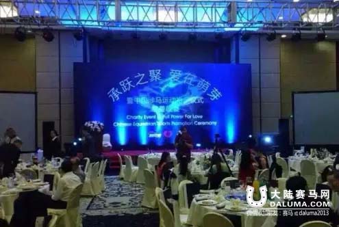 2015中国马术巡回赛上海站首日追逐大战告捷 大陆赛马网4.jpg