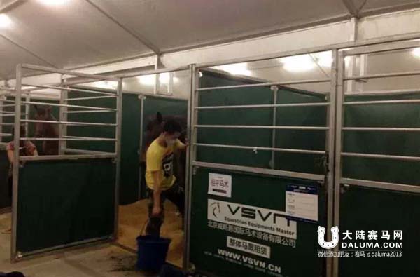 中国马术巡回赛上海站113匹马的临时马房如何运作�？