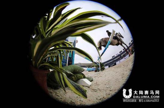 先睹为快!告诉你中国马术巡回赛魅力现场如何炼成 大陆赛马网6.jpg