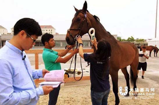 先睹为快!告诉你中国马术巡回赛魅力现场如何炼成 大陆赛马网9.jpg