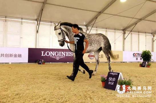 先睹为快!告诉你中国马术巡回赛魅力现场如何炼成 大陆赛马网2.jpg