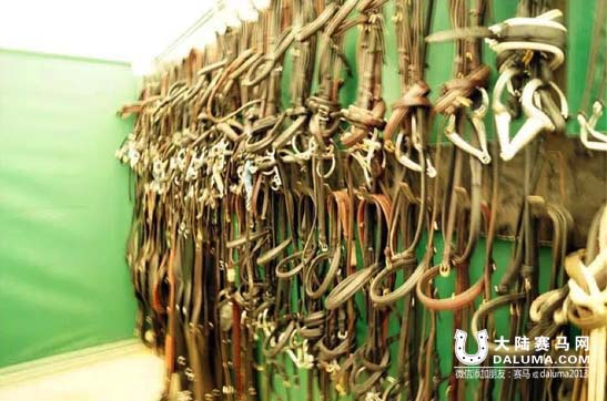 先睹为快!告诉你中国马术巡回赛魅力现场如何炼成 大陆赛马网7.jpg