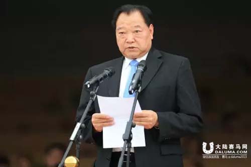 2015中国马术巡回赛汇付天下杯上海站第二日精彩回顾 大陆赛马网2.jpg