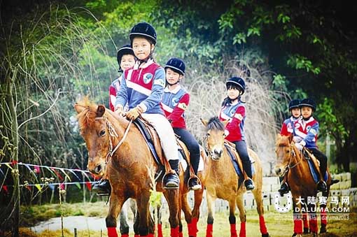 南国早报携手凯比泰马术重磅推出青少年马术训练夏令营