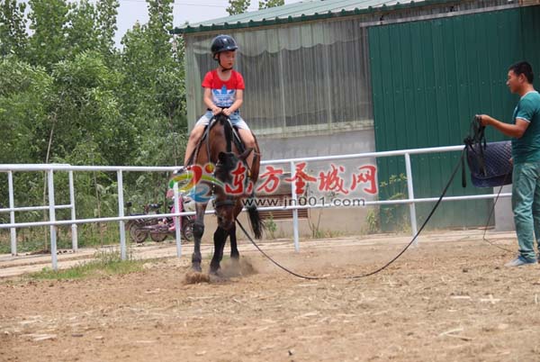 小朋友在山东济宁洙水河马术俱乐部体验骑马乐趣 大陆赛马网.jpg
