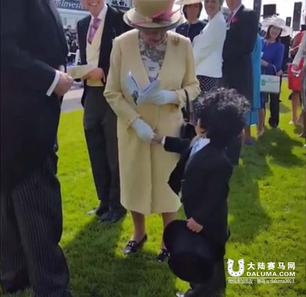赛马场萌正太握手英女王走红 其父系迪拜王子密友 大陆赛马网3.jpg