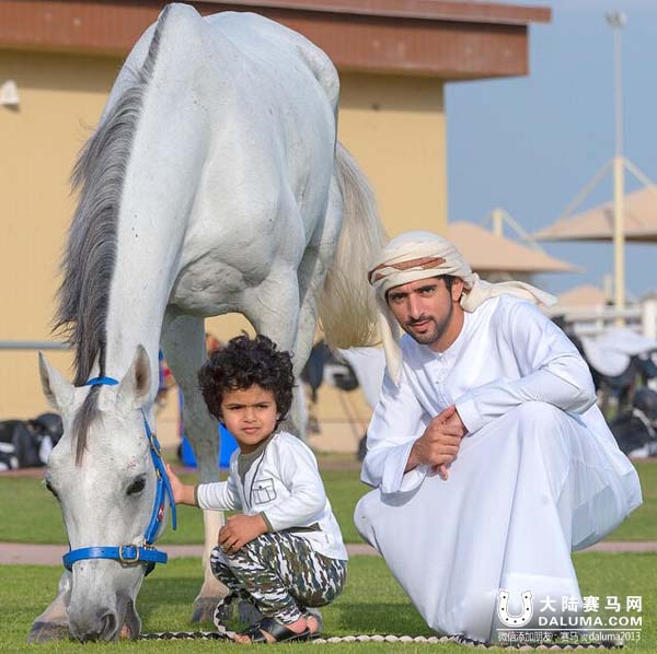 赛马场萌正太握手英女王走红 其父系迪拜王子密友 大陆赛马网4.jpg