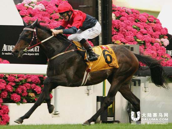 澳门赌王与香港马王“爆冷”的故事 大陆赛马网3.jpg