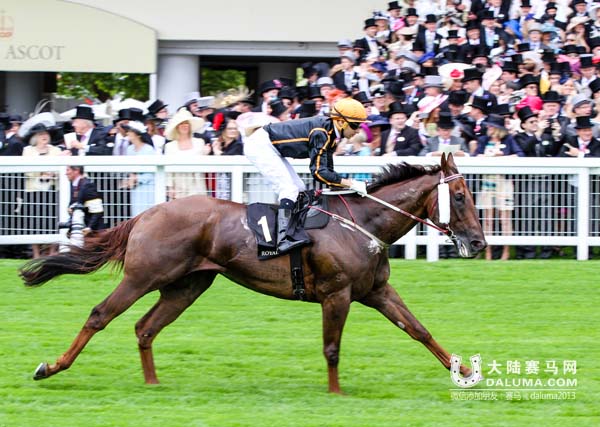 香港赛马“步步友”欧战折戟 “经济学家”勇夺女皇安妮锦标 大陆赛马网.jpg