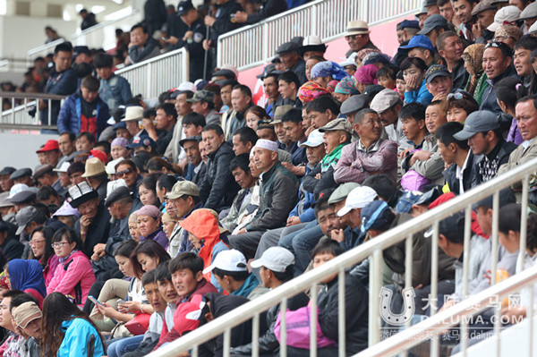 天山脚下万马奔腾 中国速度赛马公开赛(昭苏站)盛大开幕 大陆赛马网2.jpg