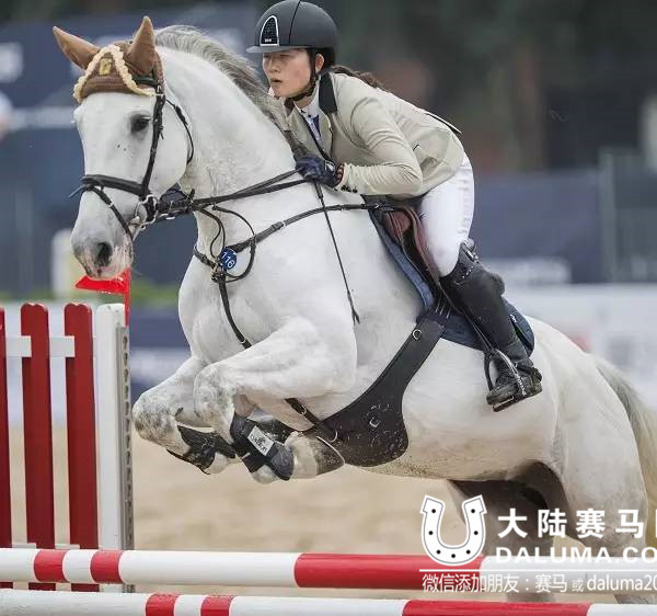 仉怡凡 中国马术巡回赛 大陆赛马网