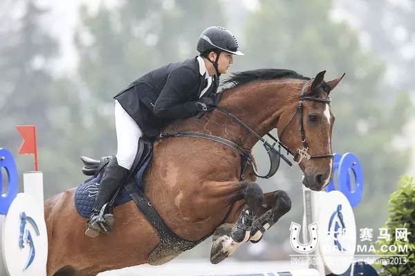 Jonathan Ding 中国马术巡回赛 大陆赛马网