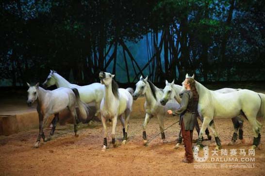 《梦幻舞马》上海首演演绎马上芭蕾  表演融合马术
