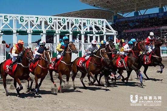 丝绸之路中国杯速度赛马纯血马组完赛 春城公主问鼎冠军