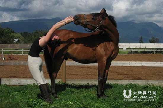 17岁“高龄”赛马参加比赛,竟然全靠瑜伽保持 大陆赛马网.jpg