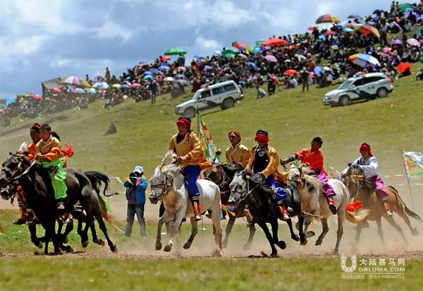 甘肃甘南玛曲第九届格萨尔赛马节8月举行 总奖金120万.jpg