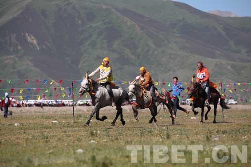 在海拔4200米赛马 究竟是一种怎样的体验? 大陆赛马网.jpg