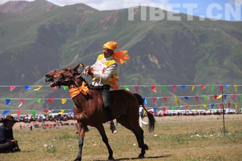 在海拔4200米赛马 究竟是一种怎样的体验? 大陆赛马网2.jpg