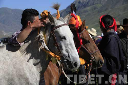 在海拔4200米赛马 究竟是一种怎样的体验? 大陆赛马网4.jpg