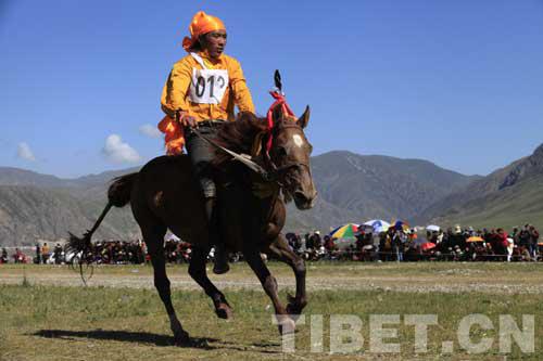 在海拔4200米赛马 究竟是一种怎样的体验? 大陆赛马网5.jpg