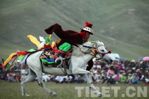 在海拔4200米赛马 究竟是一种怎样的体验? 大陆赛马网6.jpg