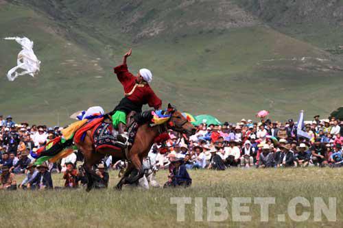 在海拔4200米赛马 究竟是一种怎样的体验? 大陆赛马网7.jpg