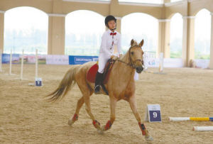 2015年成都市马术联赛 小骑手最扯眼