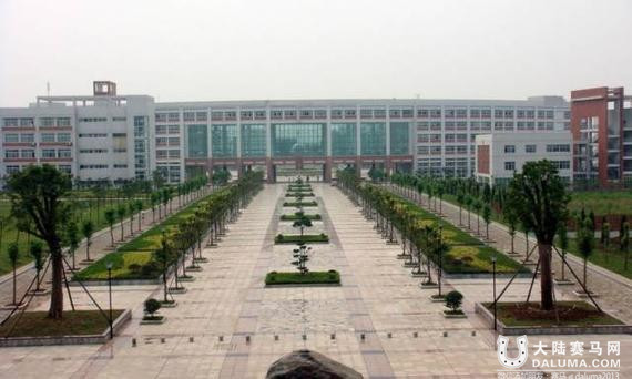 大动作�
！武汉大规模培养马迷 重塑“赛马之都”形象