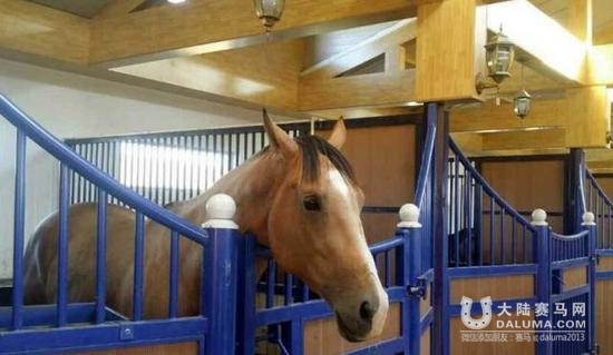 新疆投资上亿马场国庆开赛 豪购50辆汽车作奖品 大陆赛马网.jpg